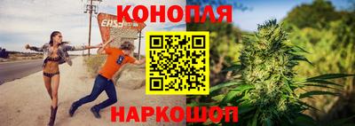 мдпв Ирбит