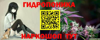 мдпв Ирбит