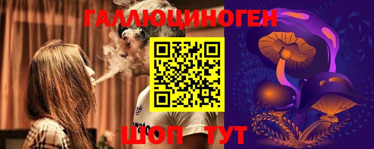 Галлюциногенные грибы Psilocybe  Вход с VPN  Галлюциногенные грибы мухоморы  Кузнецк 